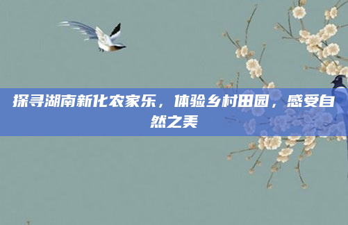 探寻湖南新化农家乐，体验乡村田园，感受自然之美