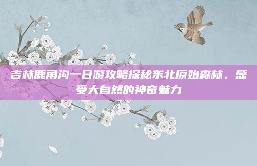 吉林鹿角沟一日游攻略探秘东北原始森林,感受大自然的神奇魅力