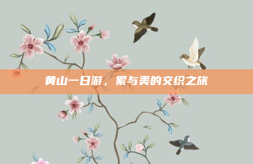 黄山一日游，累与美的交织之旅