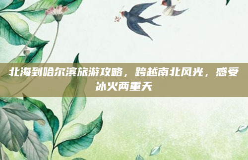 北海到哈尔滨旅游攻略，跨越南北风光，感受冰火两重天