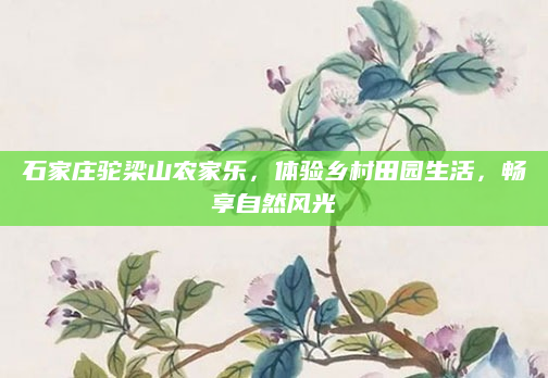 石家庄驼梁山农家乐,体验乡村田园生活,畅享自然风光
