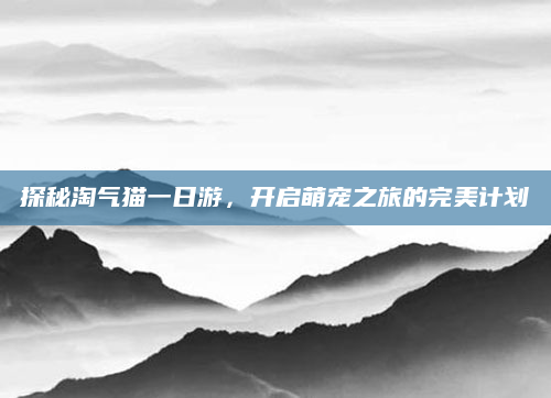 探秘淘气猫一日游,开启萌宠之旅的完美计划
