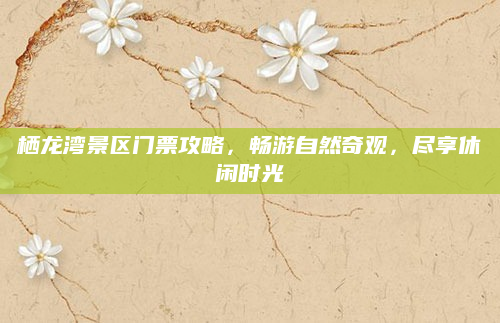 栖龙湾景区门票攻略,畅游自然奇观,尽享休闲时光