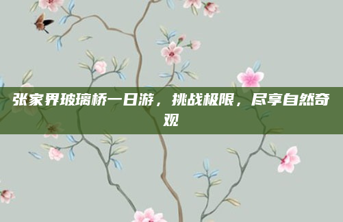 张家界玻璃桥一日游,挑战极限,尽享自然奇观