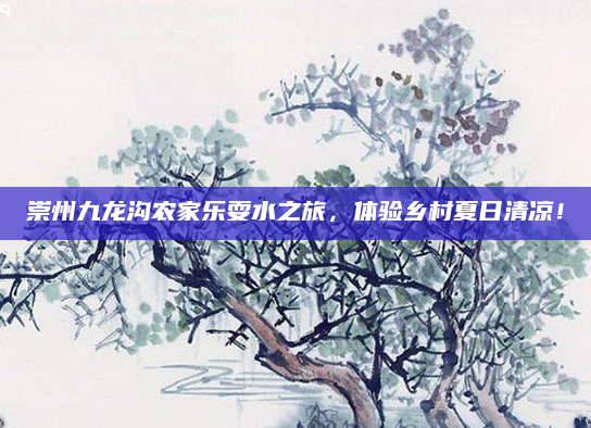 崇州九龙沟农家乐耍水之旅,体验乡村夏日清凉!