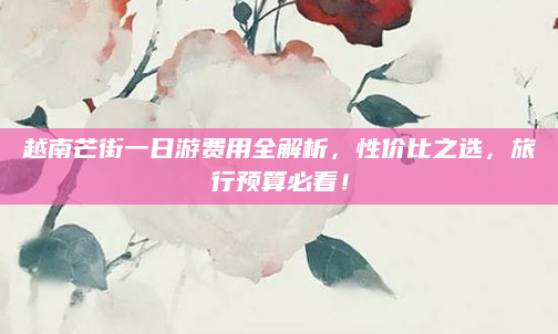 越南芒街一日游费用全解析，性价比之选，旅行预算必看！