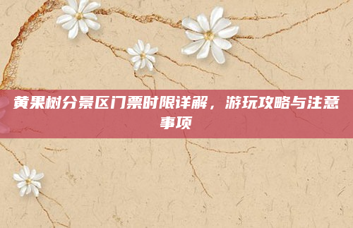黄果树分景区门票时限详解,游玩攻略与注意事项