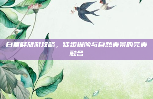 白草畔旅游攻略,徒步探险与自然美景的完美融合