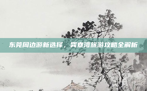 东莞周边游新选择,巽寮湾旅游攻略全解析