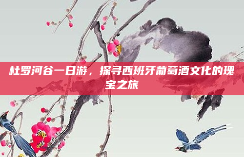 杜罗河谷一日游,探寻西班牙葡萄酒文化的瑰宝之旅