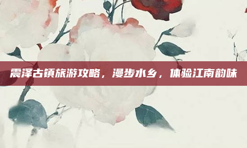震泽古镇旅游攻略，漫步水乡，体验江南韵味