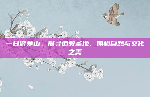一日游茅山,探寻道教圣地,体验自然与文化之美