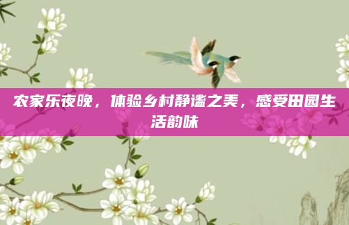 农家乐夜晚,体验乡村静谧之美,感受田园生活韵味