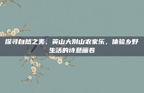 探寻自然之美,英山大别山农家乐,体验乡野生活的诗意画卷