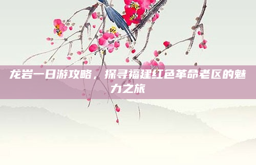 龙岩一日游攻略，探寻福建红色革命老区的魅力之旅