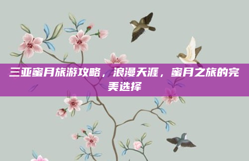 三亚蜜月旅游攻略,浪漫天涯,蜜月之旅的完美选择