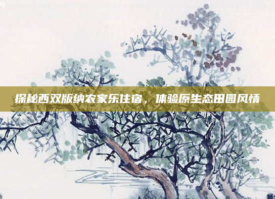 探秘西双版纳农家乐住宿,体验原生态田园风情