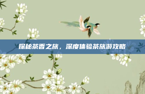 探秘茶香之旅,深度体验茶旅游攻略