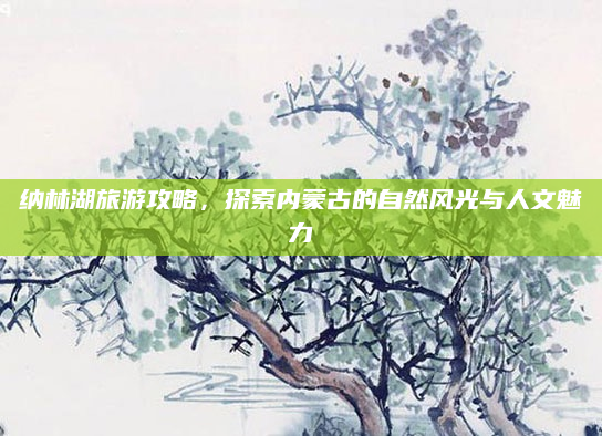 纳林湖旅游攻略,探索内蒙古的自然风光与人文魅力
