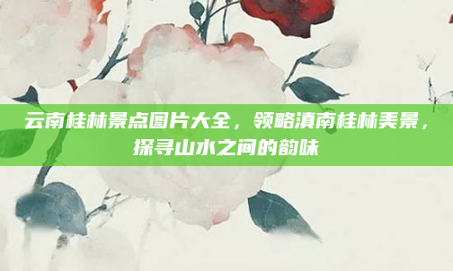 云南桂林景点图片大全,领略滇南桂林美景,探寻山水之间的韵味