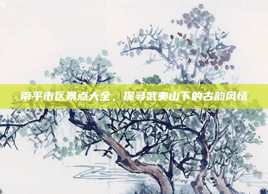 南平市区景点大全，探寻武夷山下的古韵风情