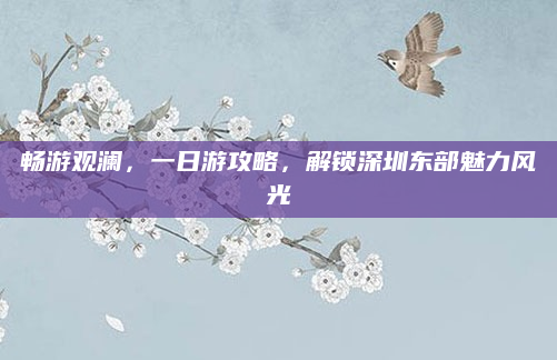 畅游观澜,一日游攻略,解锁深圳东部魅力风光