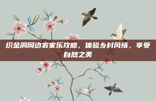织金洞周边农家乐攻略,体验乡村风情,享受自然之美