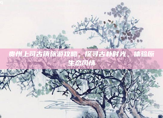 贵州上司古镇旅游攻略,探寻古朴时光,体验原生态风情