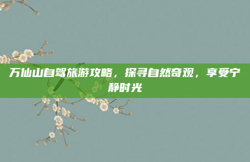 万仙山自驾旅游攻略,探寻自然奇观,享受宁静时光