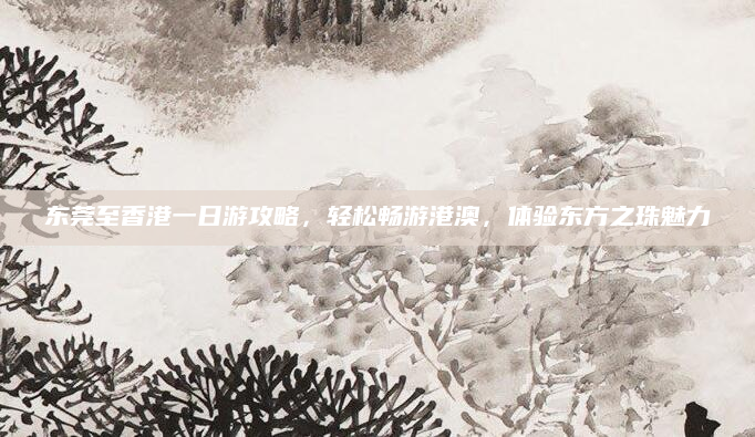 东莞至香港一日游攻略,轻松畅游港澳,体验东方之珠魅力