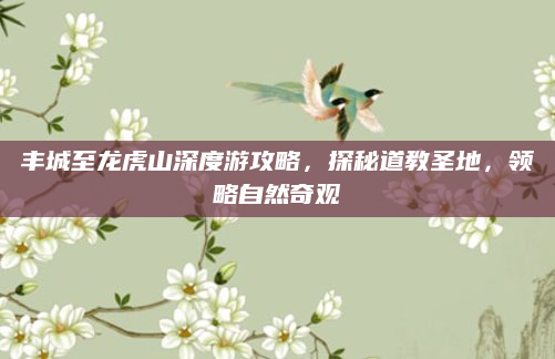 丰城至龙虎山深度游攻略，探秘道教圣地，领略自然奇观