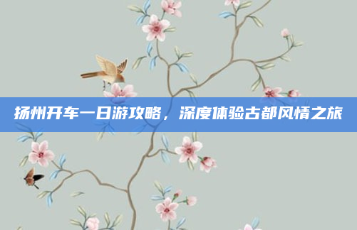 扬州开车一日游攻略，深度体验古都风情之旅