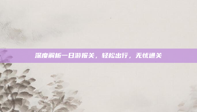 深度解析一日游报关,轻松出行,无忧通关