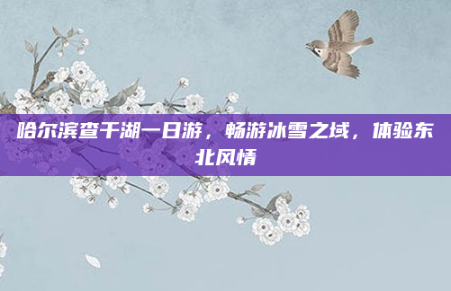 哈尔滨查干湖一日游,畅游冰雪之域,体验东北风情