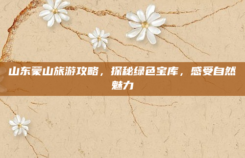 山东蒙山旅游攻略,探秘绿色宝库,感受自然魅力