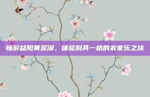 畅游益阳黄泥湖，体验别具一格的农家乐之旅
