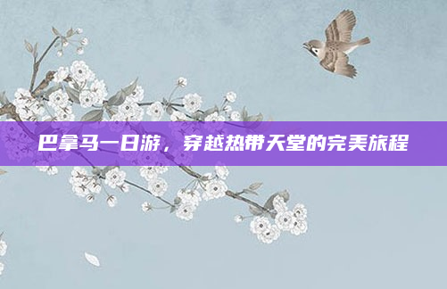 巴拿马一日游,穿越热带天堂的完美旅程