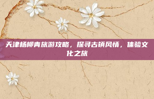 天津杨柳青旅游攻略，探寻古镇风情，体验文化之旅