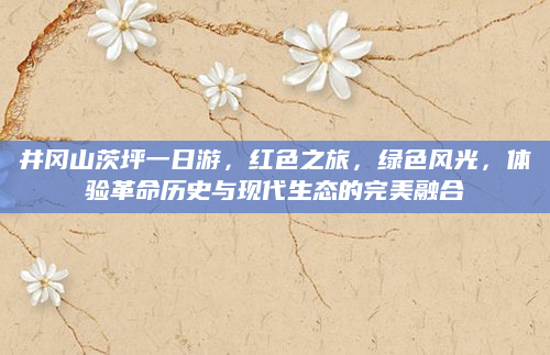 井冈山茨坪一日游，红色之旅，绿色风光，体验革命历史与现代生态的完美融合