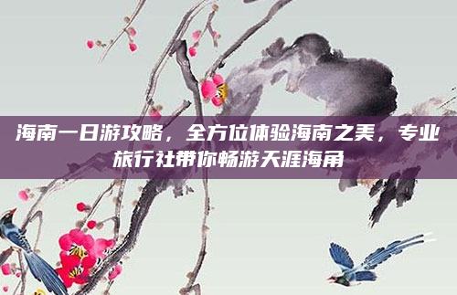 海南一日游攻略,全方位体验海南之美,专业旅行社带你畅游天涯海角