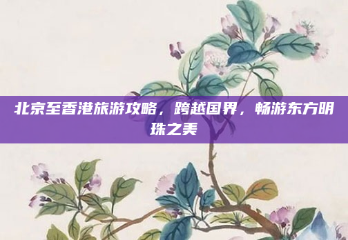 北京至香港旅游攻略,跨越国界,畅游东方明珠之美