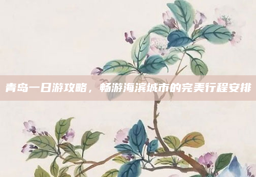 青岛一日游攻略,畅游海滨城市的完美行程安排