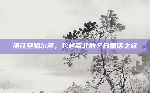 湛江至哈尔滨,跨越南北的冬日童话之旅