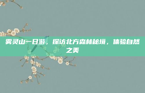 雾灵山一日游，探访北方森林秘境，体验自然之美
