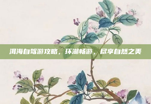 洱海自驾游攻略,环湖畅游,尽享自然之美