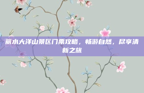 丽水大洋山景区门票攻略,畅游自然,尽享清新之旅