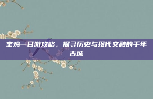 宝鸡一日游攻略，探寻历史与现代交融的千年古城