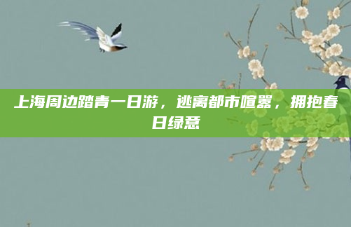 上海周边踏青一日游,逃离都市喧嚣,拥抱春日绿意