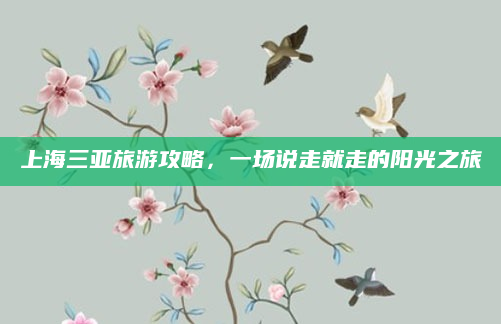 上海三亚旅游攻略,一场说走就走的阳光之旅