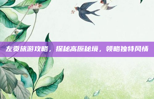 左贡旅游攻略,探秘高原秘境,领略独特风情